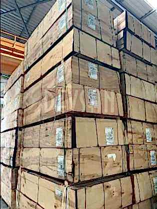 PlyWood - SyPly 13 Katman - İthal